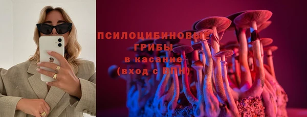 стафф Богородицк