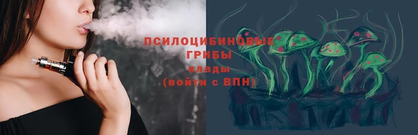 стафф Богородицк