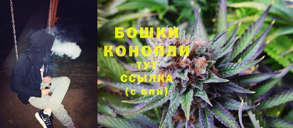 сатива Богородск