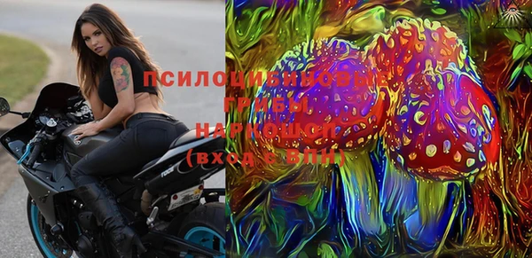 стафф Богородицк