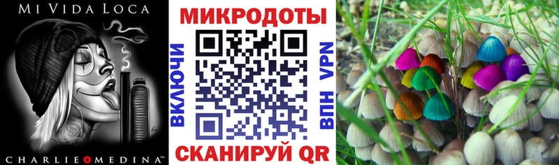 даркнет сайт Бузулук KRAKEN ТОР Галлюциногенные грибы Magic Shrooms